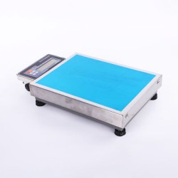 ST Portable-Platform-Scale-100kg-with-Handle-St